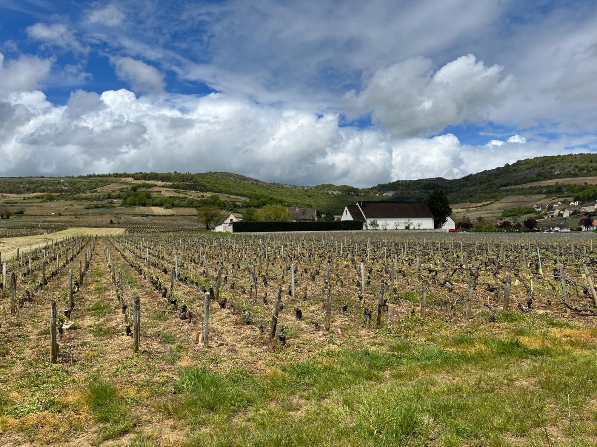 Camping De Santenay Santenay (Cote-d'Or) Exterior foto